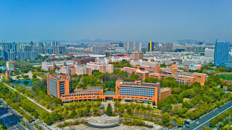 国产二极管崛起：性价比之选背后的技术考量