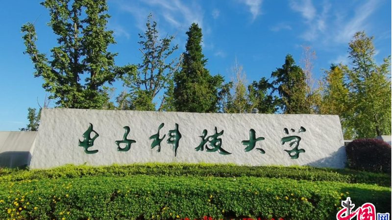 隧道二极管与变容二极管：耐压性能对比解析